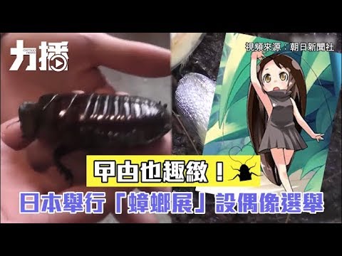 日本舉行「蟑螂展」 設偶像選舉