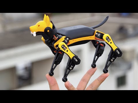 MODERNE ROBOTER-GADGETS, DIE DU AUF JEDEN FALL KAUFEN MÖCHTEST