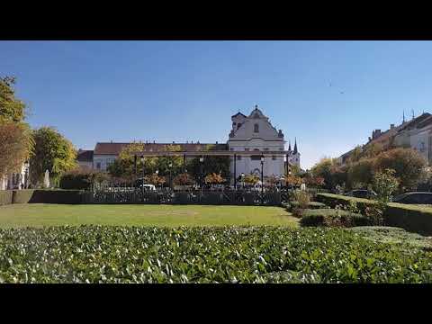 Vác, Hungary / Main square / #short