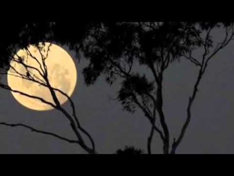Evening Sun video thumbnail