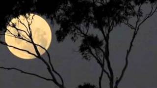 GEMMA HAYES  --  EVENING SUN