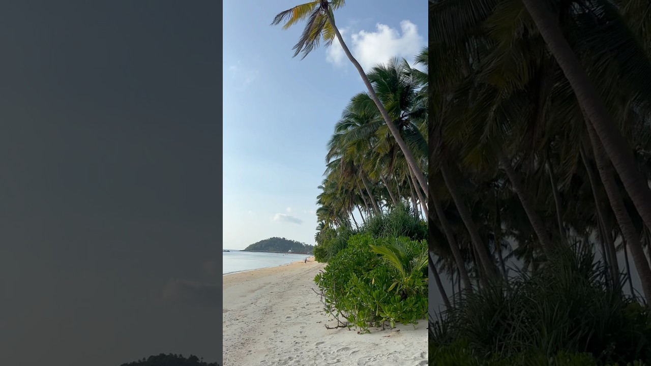 YouTube Short thumbnail