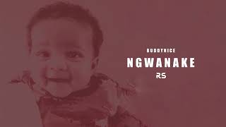 Download lagu Buddynice - Ngwanake (Visualizer) mp3