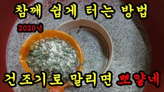 텃밭농사 2020년에도 참깨를 건조기로 말려서 털어봅니다