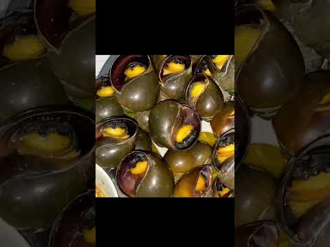 Ốc luộc lá chanh
