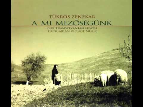 Tükrös zenekar: Magyarpalatkai menyasszonykísérő, csárdás és sűrű csárdás