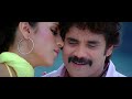 King Movie Video Songs HD Telugu
