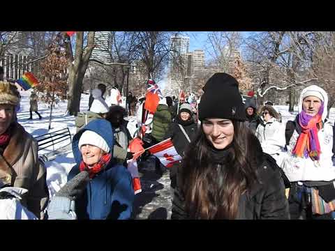 Queens Park North Toronto Truckers Freedom Convoy 2022 Sat Feb 5, 2022