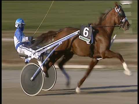 Trotto 11/01/2019 - 1ª corsa