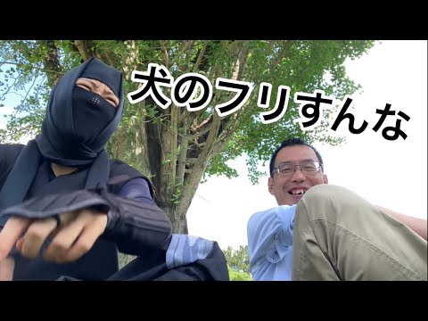 総合政策学科 うちの先生、都合が悪いことがあると犬のフリするんですよね……