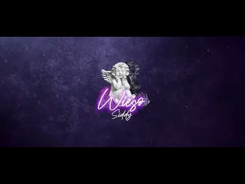 SIDDY - WIESO [OFFICIAL VISUALIZER]