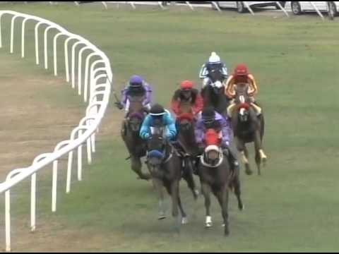 Raceday April 16, 2016