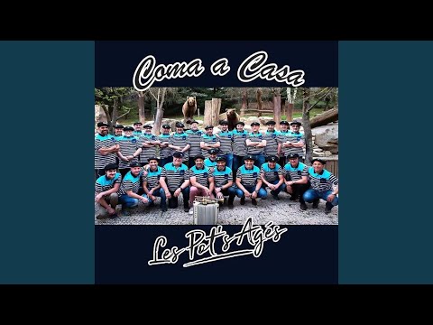 Les fêtes de Mauleon