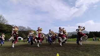 踊り陣叶和 固定演舞 川棚菜の花よさこい祭り2026