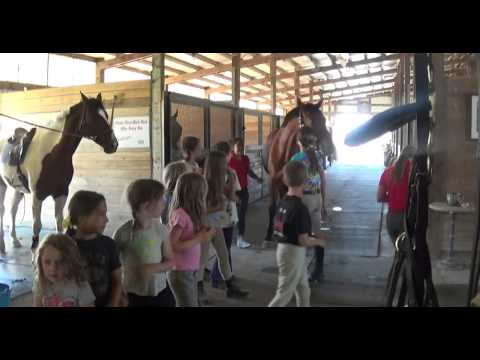 Four Star Farm Summer Horse Camp 2015