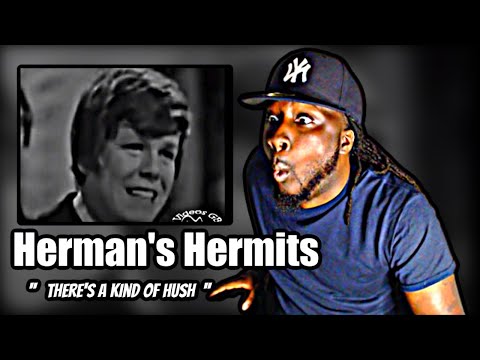 THIS WAS FUN!.. FIRST TIME HEARING! Herman's Hermits - There's A Kind Of Hush | REACTION