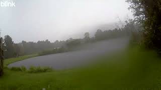 Rain on the Pond 2025 08 02