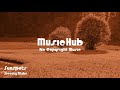π΅ Sunspots - Jeremy Blake π§ No Copyright Music πΆ Royalty Free Music π΅ Sunspots - Jeremy Blake π§ No Copyright Music πΆ Royalty Free Music