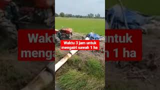 Download lagu Modifikasi Alat pengairan modern   pompa air axial 8 inch pengerak traktor kubota #fyp #shorts#viral mp3