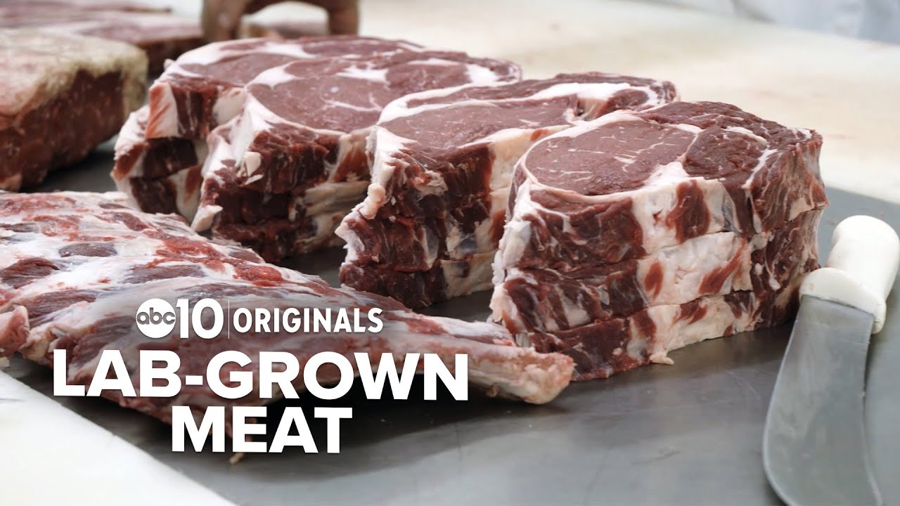 NorCal scientists join rush to invent lab-grown meat