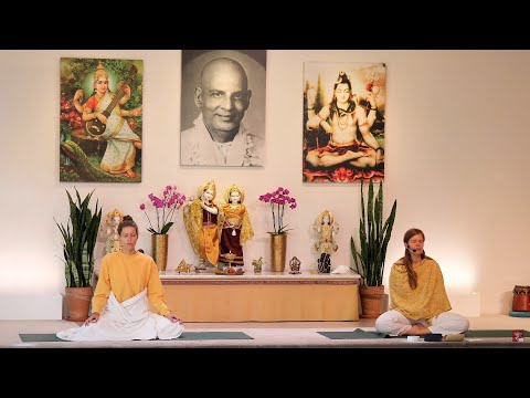 Yogastunde "Mittelstufe" mit Meditation mit Shankari - Yoga Vidya Live,  21.09.2022, 09:15 Uhr