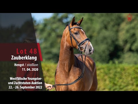 Online-Auktion Lot 48 Zauberklang Hengst v. Zoom - Lissaro