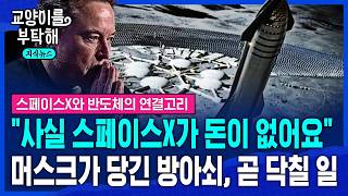 [지식뉴스] "이 막대가 치솟으면 늘 무너졌다" 스페이스X의 진짜 위험은 따로 있습니다..우주항공과 삼전닉스의 연결고리 (ft.홍춘욱 대표) / 교양이를 부탁해