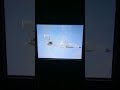 America S Top Guns F 14 Tomcat