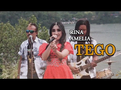 Rina Amelia - Tego