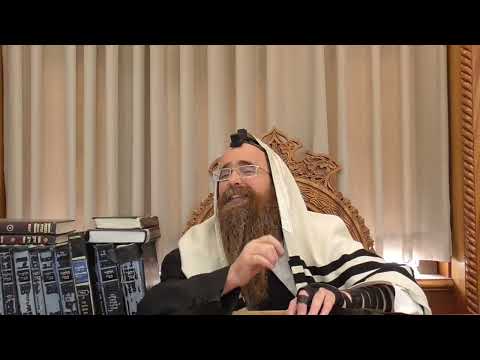 הלכה קצרה הרב בן ציון אבא שאול שליט''א  שבת ניעור אבק מבגד או כובע
