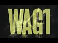 UZI MODD WAG1