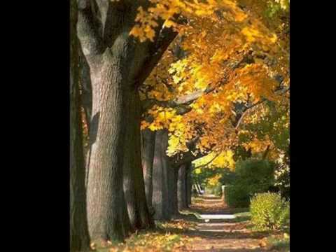 Shatas ft Barin Akys Naktyje