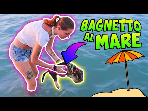 GOGGO FA IL SUO PRIMO BAGNO NEL MARE!