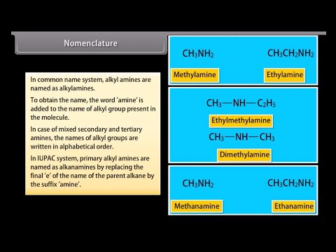Amines | Organic Chemistry Class 12th | Spell Classes
