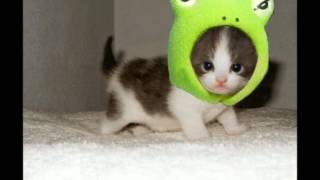 Jason Chen - Only One (BoA English Cover)