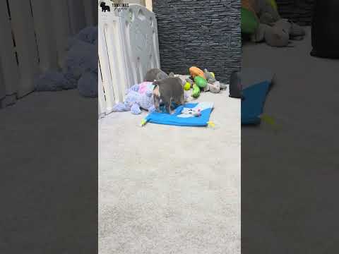 Video 5