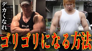 【筋肉】ゴリゴリになる方法がこちらです