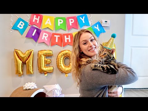 THROWING MY CAT A BIRTHDAY PARTY!