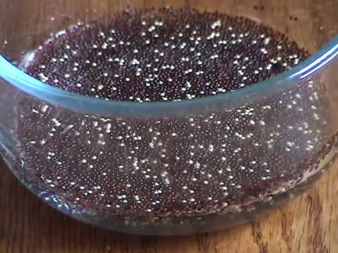 download lagu mp3 mp4 Black Amaranth, download lagu Black Amaranth gratis, unduh video klip Black Amaranth