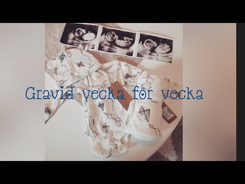 Gravid vecka 18
