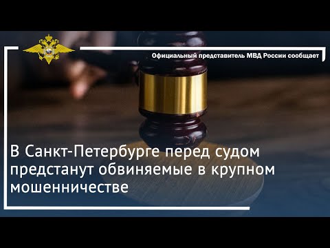 Ирина Волк: В Санкт-Петербурге перед судом предстанут обвиняемые в крупном мошенничестве