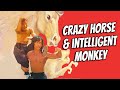 Wu Tang Collection - Crazy Horse & Intelligent Monkey WIDESCREEN