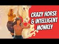 Wu Tang Collection Crazy Horse Intelligent Monkey WIDESCREEN