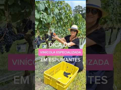 VINÍCOLA BRASILEIRA PREMIADA ESPECIALIZADA EM ESPUMANTES  #vinicola #serragaucha #viagemeturismo