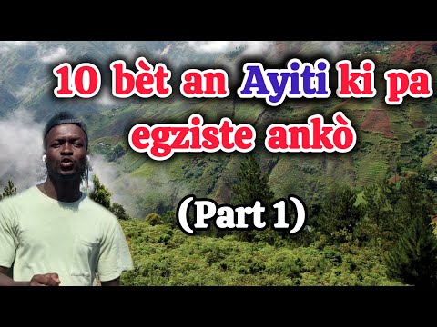 Frères Explorateurs and Hit News 509