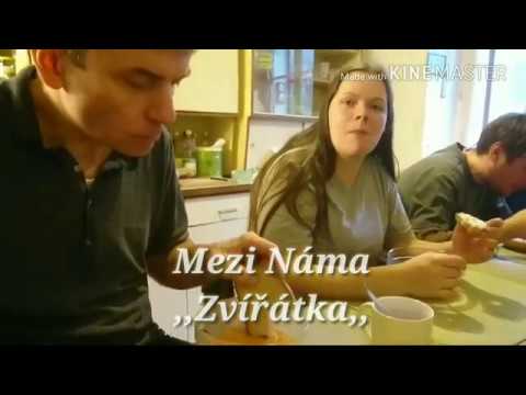 meziNáma - MeziNáma - Zvířátka