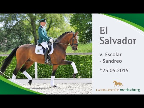 EL SALVADOR v. Escolar - Sandreo