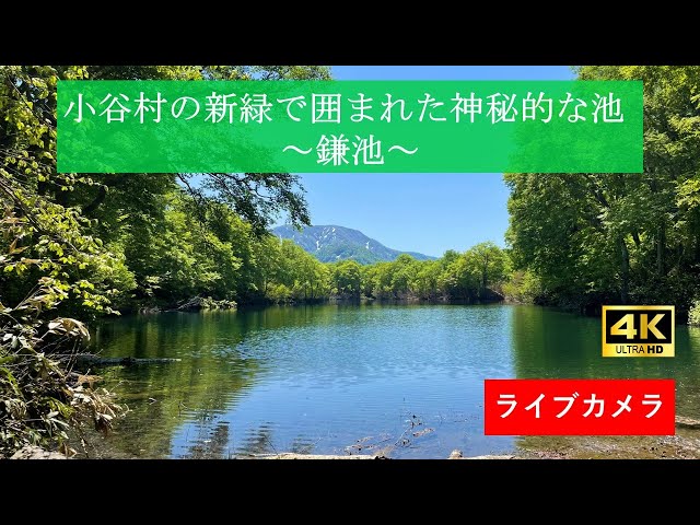 鎌池（長野県小谷村）