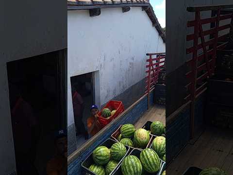 FEIRA DE PADRE MARCOS DO PIAUÍ DIA 02 DE MAIO DE 2026 #feiras #piaui #viral_video