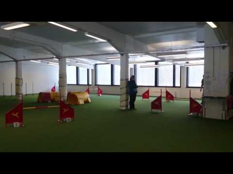 Vaisu 3.4.2017, toinen yritys